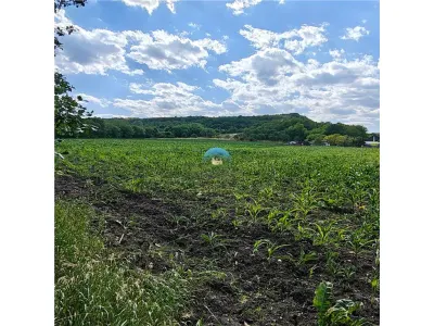 Teren intravilan de vanzare ideal pentru investitie - foto 4