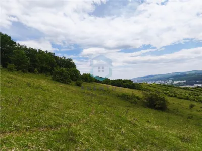 Teren vanzare Centura Donath Nord, 2900 mp - foto 3