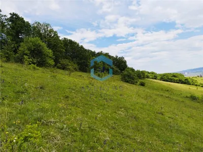 Teren vanzare Centura Donath Nord, 2900 mp - foto 9