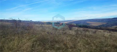 Oportunitate investițională -Teren de vanzare, Dealul Fanatelor, Cluj Napoca - foto 3