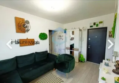 Apartament cu terasa panoramica, 2 camere - foto 4