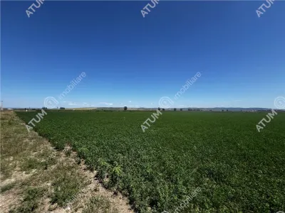 De vanzare teren intravilan de 19264 mp situat in zona Industriala Vest din Sibiu - foto 4