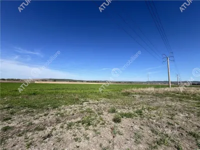 De vanzare in Sibiu teren intravilan cu suprafata de 3300 mp amplasat in zona Calea Surii Mici - foto 3