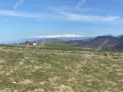 Teren intravilan 3000 mp cu utilitati de vanzare in Paltinis judet Sibiu - foto 11