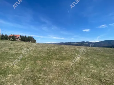 Teren intravilan 3000 mp cu utilitati de vanzare in Paltinis judet Sibiu - foto 4