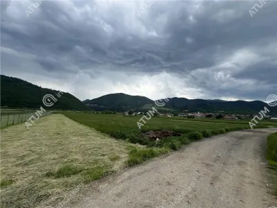 De vanzare teren intravilan de 3477 mp in Boita - foto 2