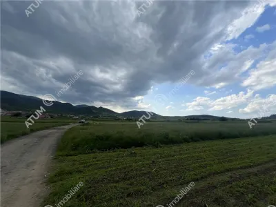 De vanzare teren intravilan de 3477 mp in Boita - foto 3