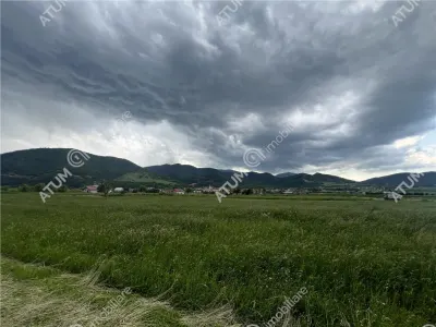 De vanzare teren intravilan de 3477 mp in Boita - foto 4