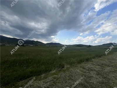 De vanzare teren intravilan de 3477 mp in Boita - foto 6