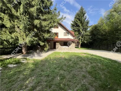 De vanzare cabana cu 7 camere 7 bai si teren 1000 mp in Avrig zona Mlaci - foto 2