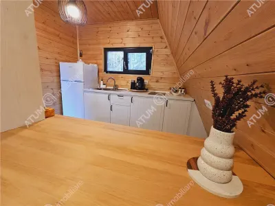 Casa tip A Frame de inchiriat in localitatea Avrig zona Valea Avrigului,Porumbacu de Sus - foto 15