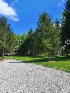 Casa tip A Frame de inchiriat in localitatea Avrig zona Valea Avrigului,Porumbacu de Sus - foto 9