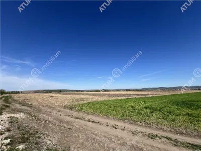 De vanzare teren intravilan cu suprafata de 16130 mp situat in Sibiu zona Calea Surii Mici - foto 7