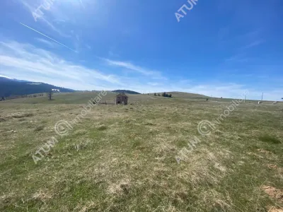 De vanzare teren intravilan de 3000 mp cu utiltati si PUZ in Paltinis Judet Sibiu - foto 9