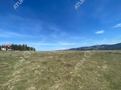 De vanzare teren intravilan de 3000 mp cu utiltati si PUZ in Paltinis Judet Sibiu - foto 10