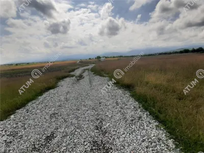 Teren intravilan pe Valea Avrigului cu suprafata de 8900 metri in apropierea Dino Parc - foto 3