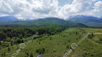 Teren intravilan pe Valea Avrigului cu suprafata de 8900 metri in apropierea Dino Parc - foto 4