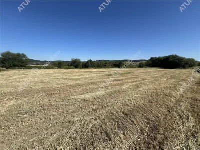 De vanzare teren cu PUZ in suprafata de 3752 mp situat in Cristian - foto 2