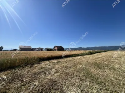 De vanzare teren cu PUZ in suprafata de 3752 mp situat in Cristian - foto 7