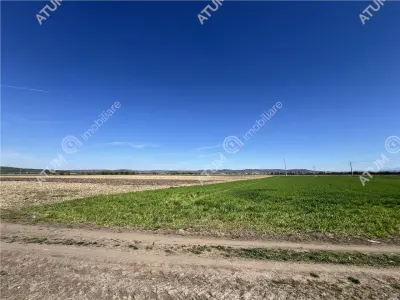 De vanzare teren intravilan de 8150 mp situat in Sibiu zona Calea Surii Mici - foto 5