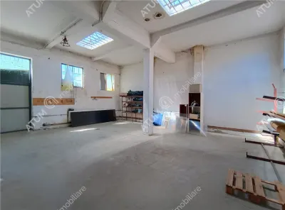 De inchiriat spatii industriale - hale 300 mp utili cu teren in Cisnadie langa Sibiu - foto 3