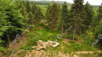 Teren intravilan 3000 mp de vanzare in Porumbacu de Sus din Sibiu - foto 12