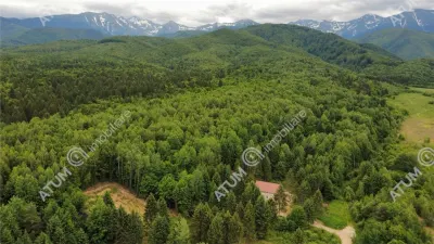 Teren intravilan 3000 mp de vanzare in Porumbacu de Sus din Sibiu - foto 8