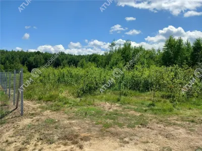 De vanzare teren intravilan 3900 mp in Porumbacu de Sus pe platoul centran, priveliste panoramica, Sibiu - foto 8