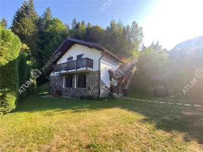Pensiune de vanzare cu 7 unitati de cazare sala evenimente si sala recreere de vanzare in Apuseni judetul Alba - foto 4