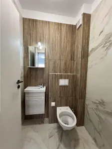 De vanzare apartament cu 3 camere 2 bai la etajul 1 zona Doamna Stanca - foto 6