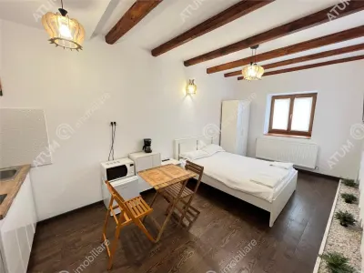 De vanzare casa ultracentrala compusa din 2 garsoniere situata langa Teatru Gong din Sibiu - foto 2