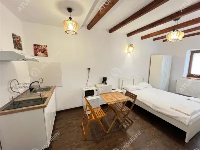 De vanzare casa ultracentrala compusa din 2 garsoniere situata langa Teatru Gong din Sibiu - foto 13