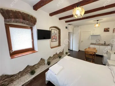 De vanzare casa ultracentrala compusa din 2 garsoniere situata langa Teatru Gong din Sibiu - foto 3
