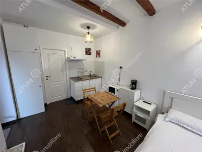 De vanzare casa ultracentrala compusa din 2 garsoniere situata langa Teatru Gong din Sibiu - foto 4