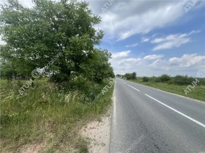 De vanzare teren curti constructii de 500 mp in Daia pretabil investitie - foto 2