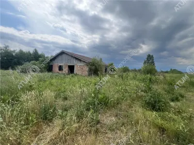 De vanzare teren curti constructii de 500 mp in Daia pretabil investitie - foto 3