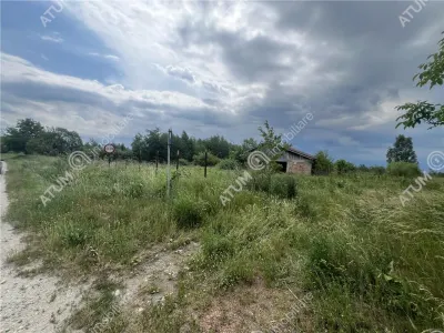De vanzare teren curti constructii de 500 mp in Daia pretabil investitie - foto 4