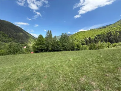Teren intravilan de vanzare in Rau Sadului, 17.000 mp - foto 11