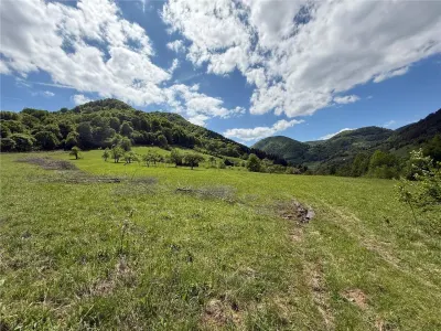 Teren intravilan de vanzare in Rau Sadului, 17.000 mp - foto 12