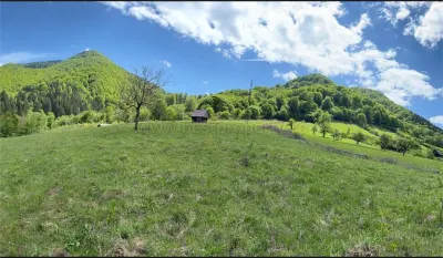 Teren intravilan de vanzare in Rau Sadului, 17.000 mp - foto 4