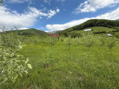 Teren intravilan de vanzare in Rau Sadului, 17.000 mp - foto 5