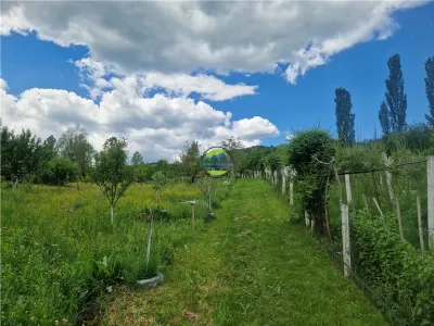 PRAJANI - SLANIC PRAHOVA - TEREN DE VANZARE - foto 9