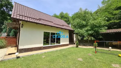 Cabana Valea Rametului,58000 euro - Stremt