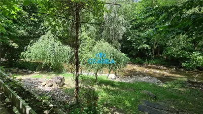 Cabana Valea Rametului,58000 euro - foto 7