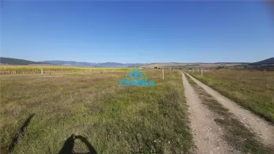 Teren de vanzare Alba Iulia,Micesti 350 mp,21000 - Alba Iulia
