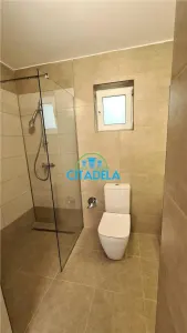 Casa renovata,Centru ,400 mp teren,100000 euro - foto 5