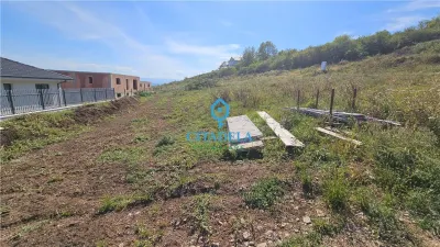 Tren 600 mp autorizat zona Piata Cetate - foto 3