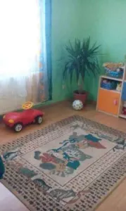 Casa  de vanzare Vetis - foto 7