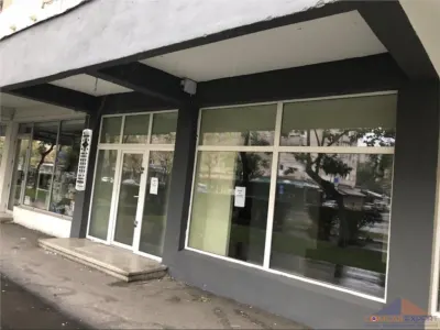 Spatii de inchiriat zona Careiului - foto 3