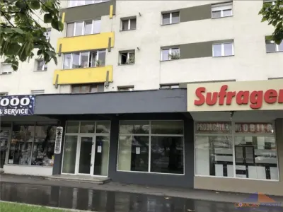 Spatii de inchiriat zona Careiului - foto 4